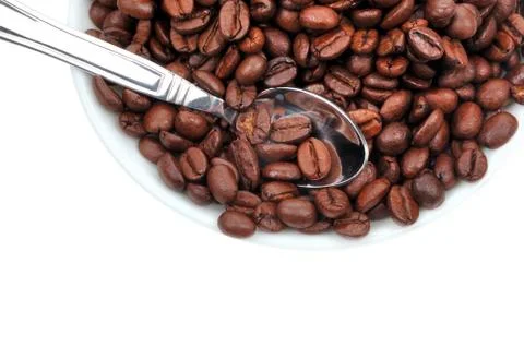 Coffee grain Stock-Fotos