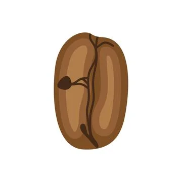 Coffee grain seed Stock Illustration