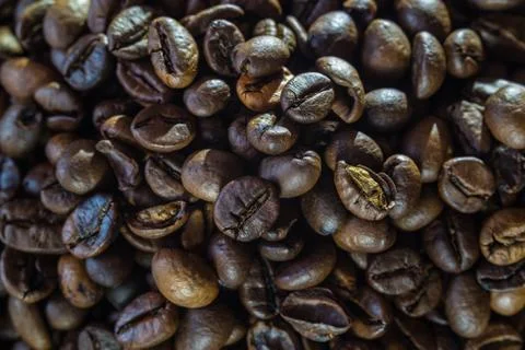 Coffee grains close-up Stock Photos