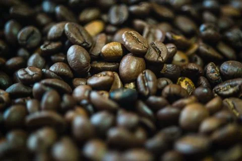 Coffee grains close-up Stock Photos