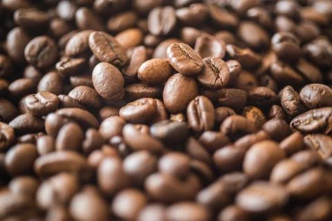 Coffee grains close-up Stock Photos