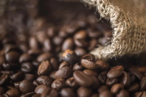 Coffee grains close-up Stock Photos