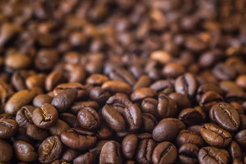 Coffee grains close-up Stock Photos