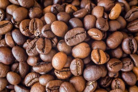 Coffee grains close-up Stock Photos