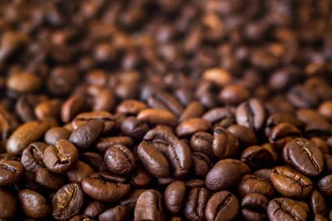 Coffee grains close-up Stock Photos