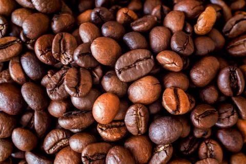 Coffee grains close-up Stock Photos