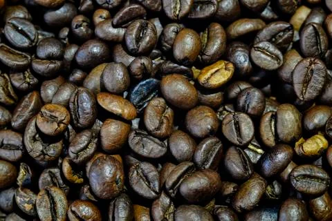 Coffee grains close-up Stock Photos