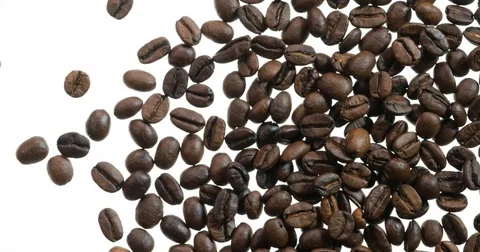 Coffee Grains Fall in Frame 4K pair Stock Footage 81854224