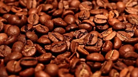 Coffee grains Stock Footage 10899898