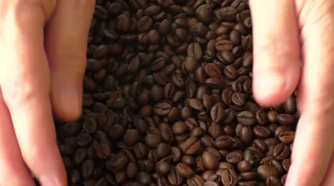Coffee grains on the hands Stock Footage 52922276