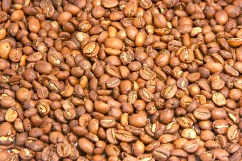 Coffee grains Stock Photos
