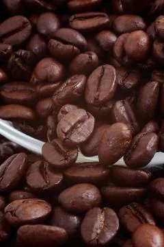 Coffee grains Stock Photos