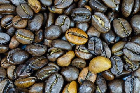 Coffee grains Foto stock