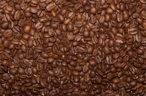 Coffee grains Stock Photos