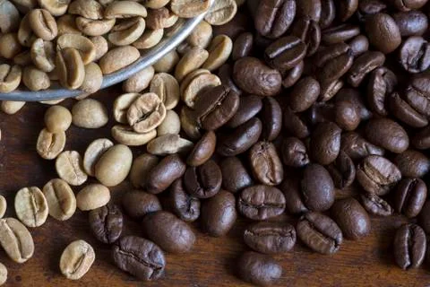 Coffee grains Фото