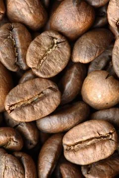 Coffee Grains Stock Photos