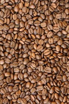 Coffee Grains Stock Photos