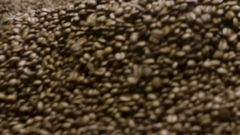Coffee Grains in Roasting Coffee Machine, Close Shot Stock Footage 147633385