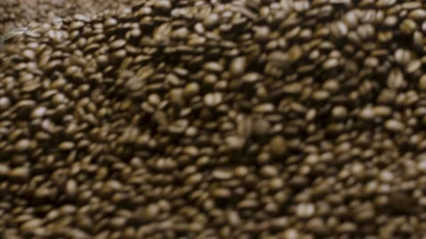 Coffee Grains in Roasting Coffee Machine, Close Shot Stock Footage 147633443