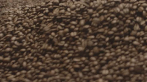Coffee Grains in Roasting Coffee Machine, Close Shot Stock Footage 147633519