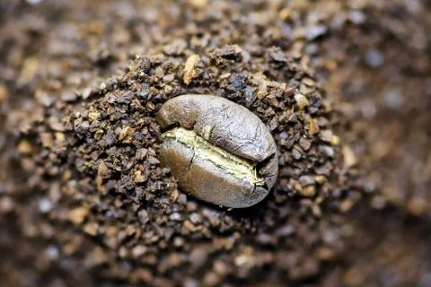 Coffee grind Stock Photos