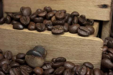 Coffee grinder, coffee beans Stock Photos