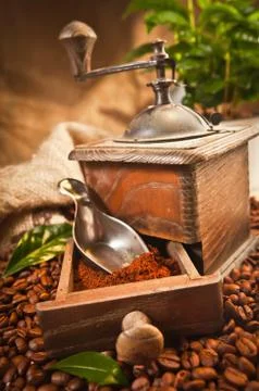 Coffee grinder Stock Photos