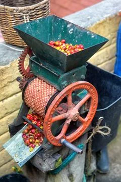 Coffee grinder Foto stock