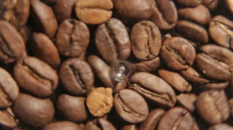 Coffee grinder sound Stock Footage 20606266