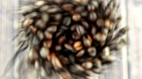 Coffee grinder turns on with coffee beans flying out all over the floor Stock Footage 229670969