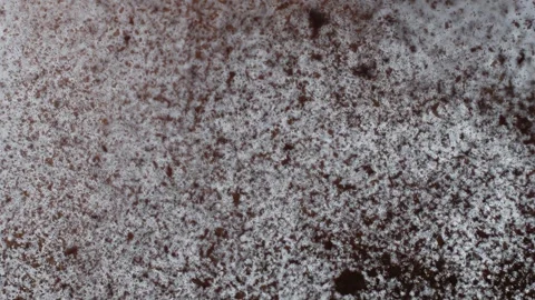 Coffee Grounds Are Shooting Into The Air Stock Footage 254998772