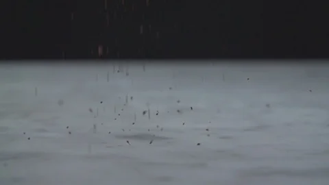 Coffee Grounds Being Dropped on a White Tabletop, Slo-Mo HD Video Vídeo Stock 92854004