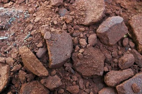 Coffee grounds from the coffee machine. Foto stock