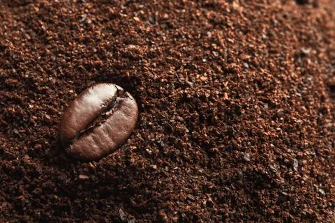 Coffee grounds, roasted bean and space for text, closeup Stock Photos