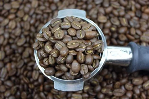 Coffee in group handle Фото