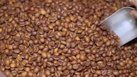 Coffee hands in a bag, roasted coffee Stock Footage 76267515