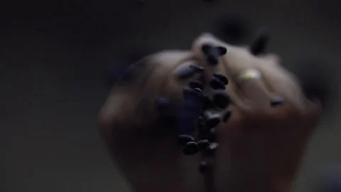 Coffee In Hands Stock Footage 109051943