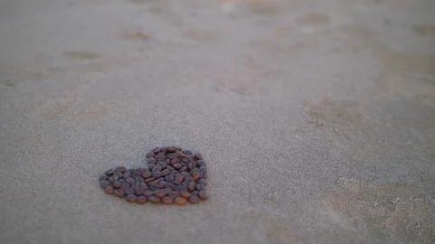 Coffee heart love Stock Footage 86334194