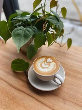 A coffee with a heart pattern in the foam sitting next to a leafy plant 写真素材