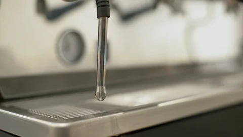 Coffee house Stock Footage 88390362