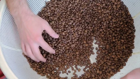 Coffee house worker checking roasted coffee beans in processing factory Stock Footage 76187453