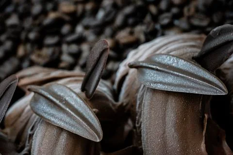 Coffee ice cream in the shape of a leaf on a background of coffee beans Stock Photos