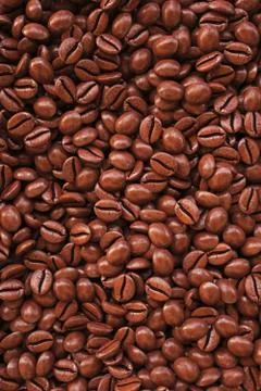 Coffee Illustrazione stock