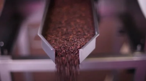 Coffee Industry Stock Footage 44325376