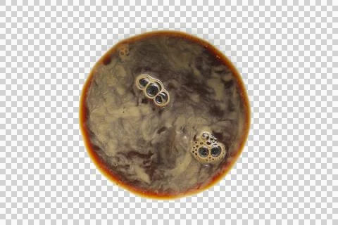 Coffee isolated transparency background.. Fotos Stock
