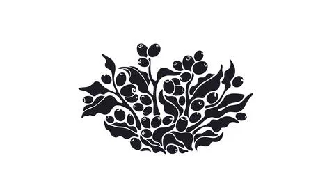 Coffee label. Vector tree, beans, shape of berry Stock Illustration