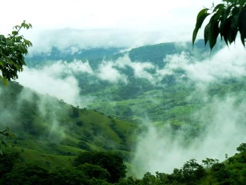 Coffee Land in the Clouds Stock-Fotos