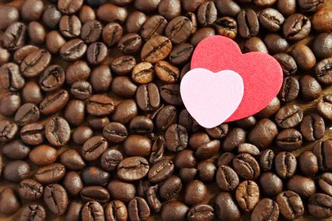 The Coffee Lover Stock Photos