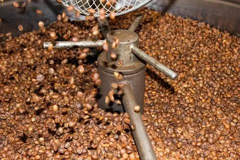 Coffee machine for roasting coffee beans. Coffee production. Foto stock