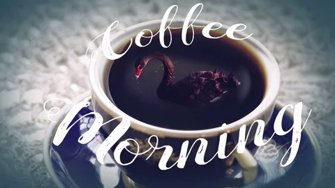 Coffee morning. Stock Footage 78679473